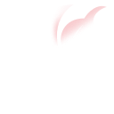 智晟AI|智能体开发|大模型开发